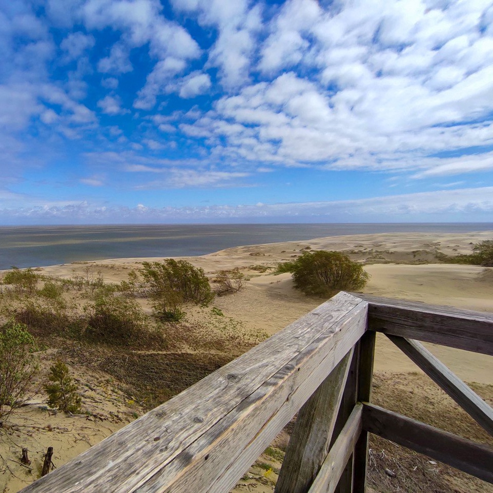 "Тайными тропами Куршской косы до семейной сыроварни Шаакендорф + Зеленоградск"